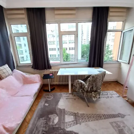 Δωμάτια σε οικογενειακή κατοικία Hagi Yorgi Deluxe Kozyatagi, Luxury Homestay
